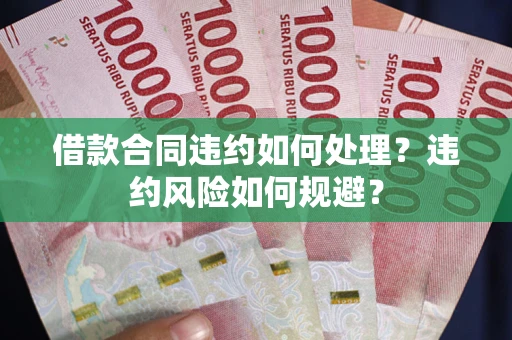 济南借款合同违约如何处理？违约风险如何规避？