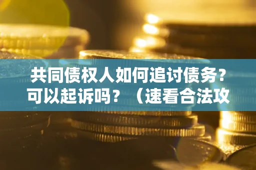 济南共同债权人如何追讨债务？可以起诉吗？（速看合法攻略）